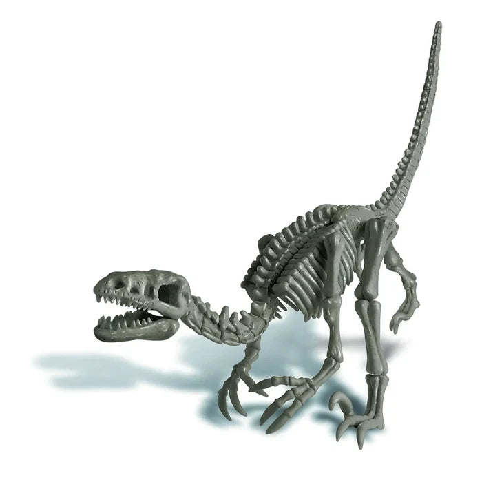 4M - KidzLabs Dig a Velociraptor Skeleton Excavation Kit - Grey