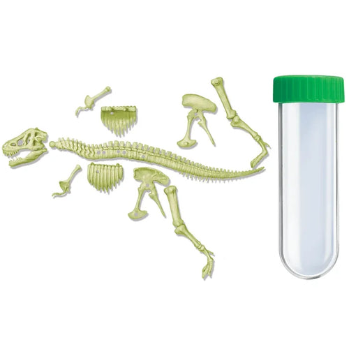 4M - KidzLabs Glowing T-Rex Skeleton Science Kit - Multicolor