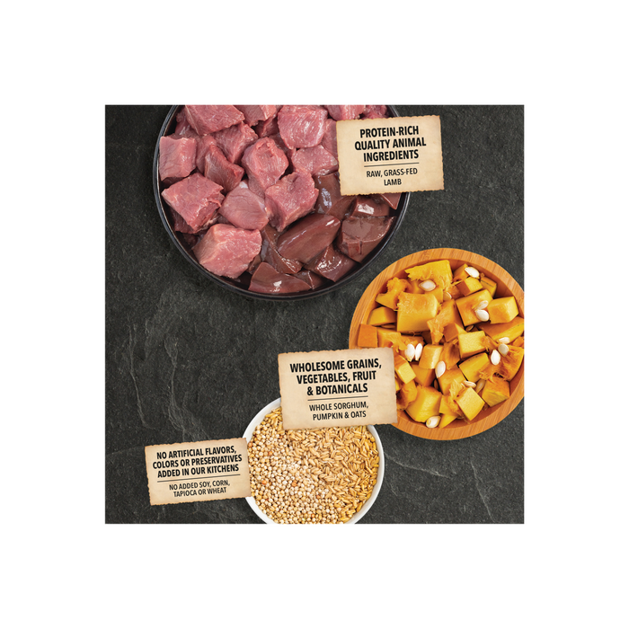 ACANA Wholesome Grains Lamb & Pumpkin 22.5lb