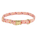 Accent Metallic Adjustable Dog Collar