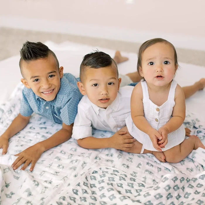 Aden & Anais Classic Dream Blanket