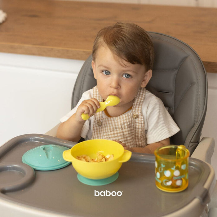 Baboo Feeding Bowl and Spoon Set (6m+)