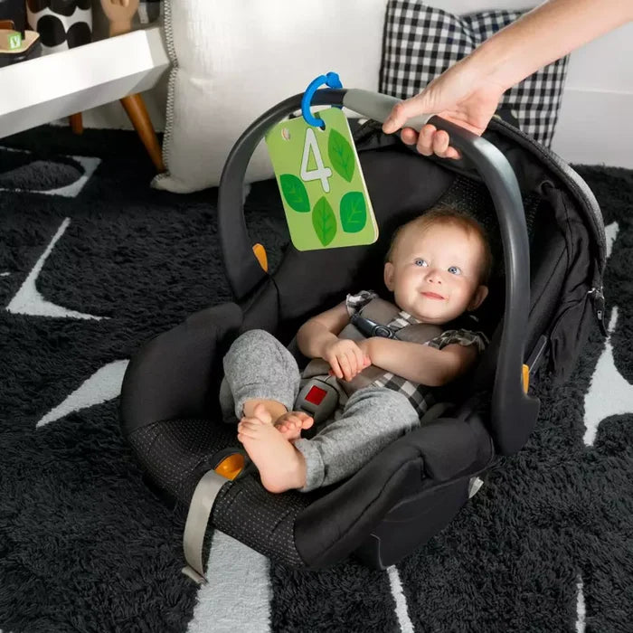 Baby Einstein - Discovery Garden Tummy Time Mat & Mirror - Multicolor