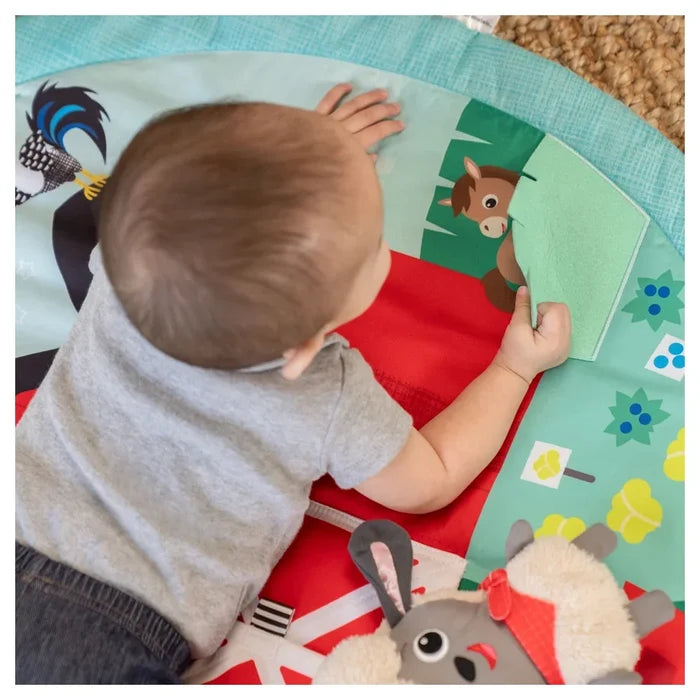 Baby Einstein - Happy Harvest Touch & Feel Activity Gym - Multicolor