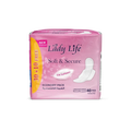 Baby Life Lady Life Compact with Wings (40 Pads)