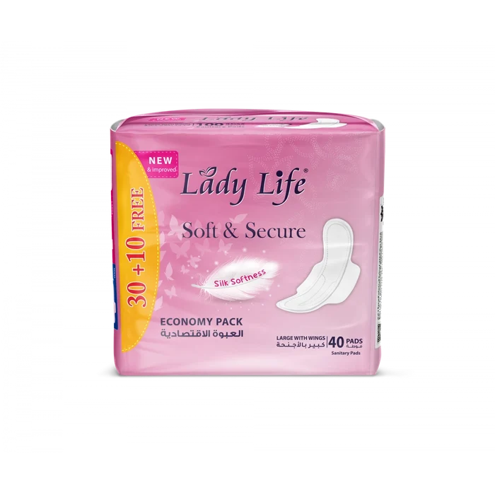 Baby Life Lady Life Compact with Wings (40 Pads)