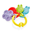 Babyjem Rattle Teether