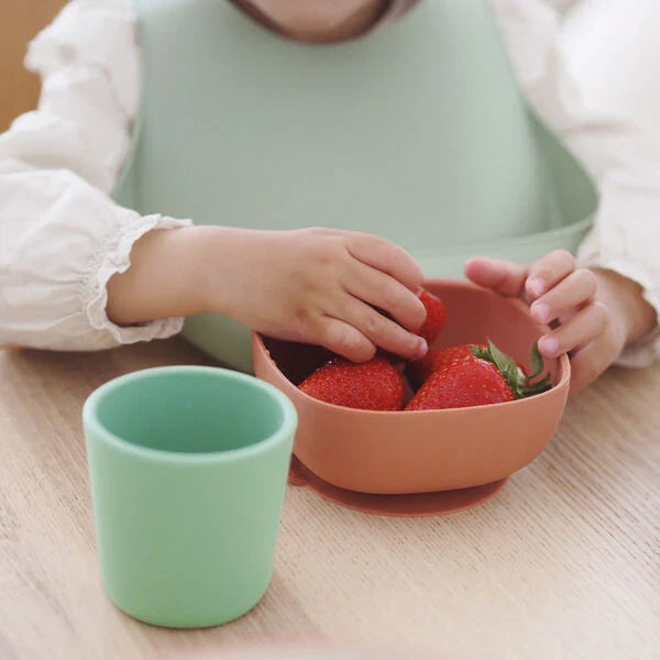 Beaba Silicone Meal - Set of 4