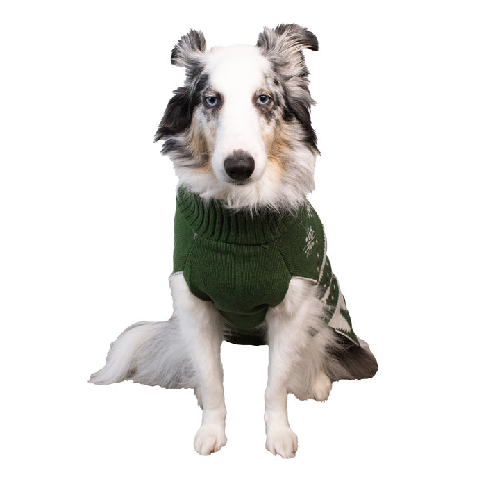 BEAR DOG SWEATER
