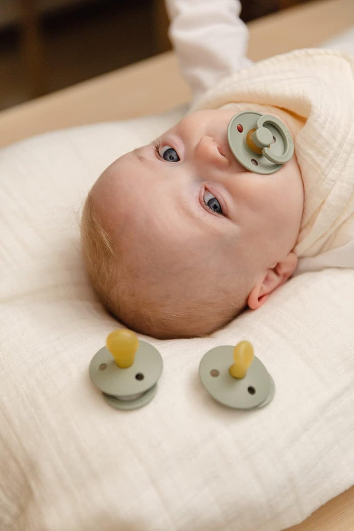 BIBS Anatomical Nipple Pacifier Colour - Pack of 2 (Size 2)