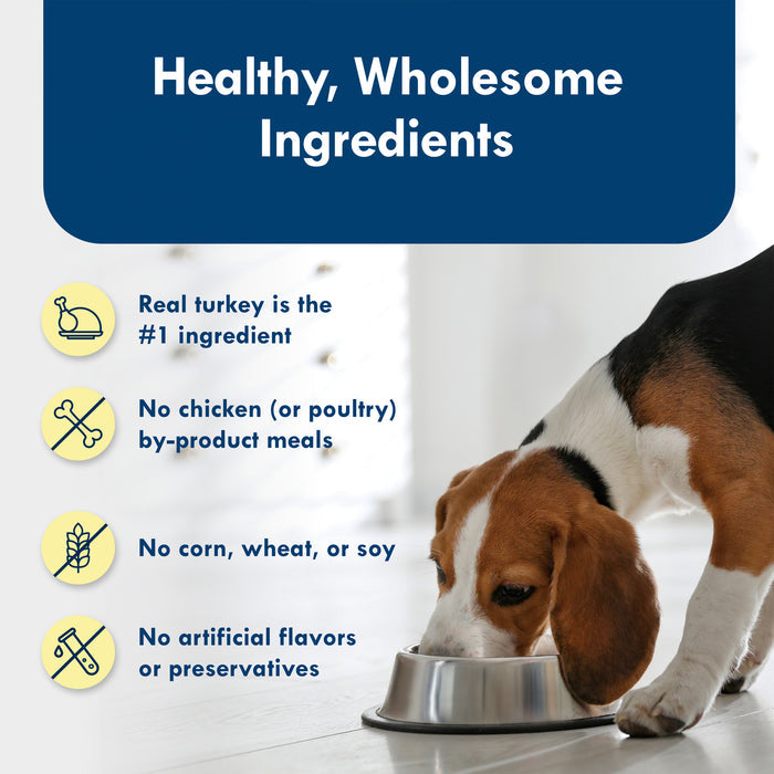 Blue Buffalo Delights Small Breed Natural Wet Dog Food, Roasted Turkey Paté, 3.5-oz. Cup