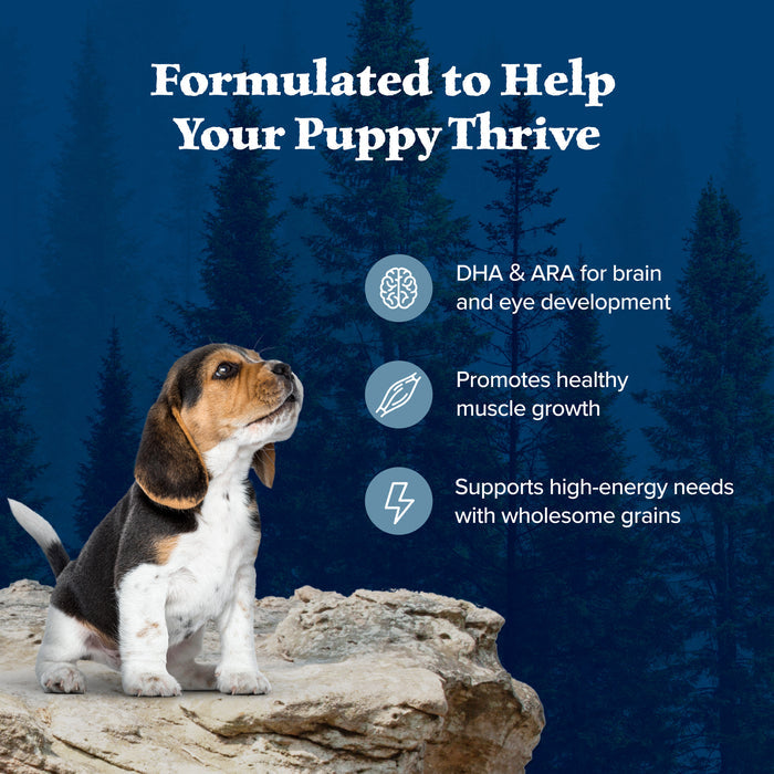 Blue Buffalo Wilderness High-Protein Natural Dry Food for Puppies, Chicken Recipe, 24-lb Bag
