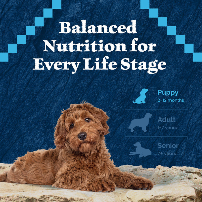 Blue Buffalo Wilderness High-Protein Natural Dry Food for Puppies, Chicken Recipe, 24-lb Bag