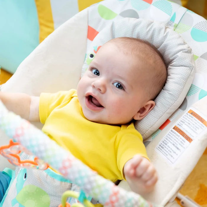 Bright Starts Happy Safari Bouncer