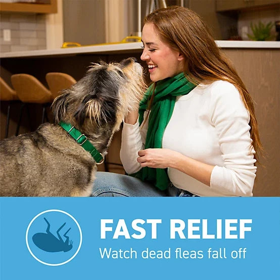 Capstar Flea Control Tablets for Dogs 2-25 lb., 6 ct.