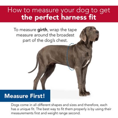 Coastal Pet K9 Explorer Harness, Orchid