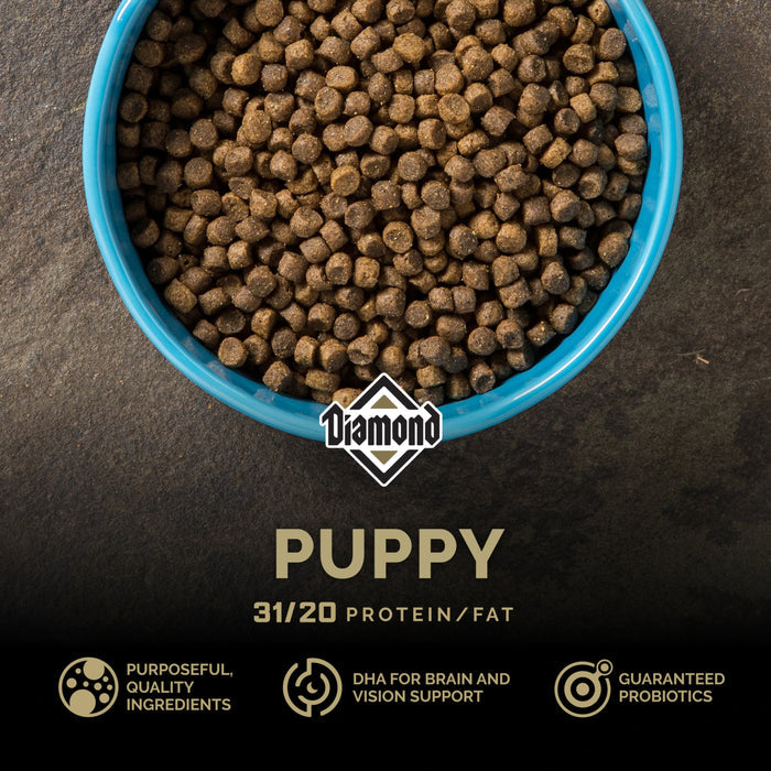 Diamond Puppy