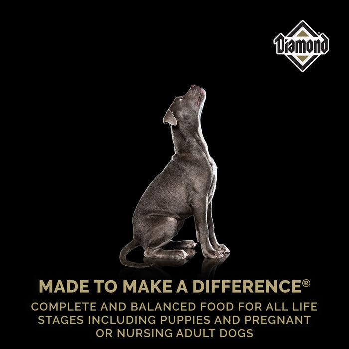 Diamond Puppy