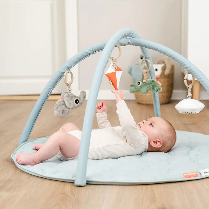 Done By Deer Activity Play Mat Playground