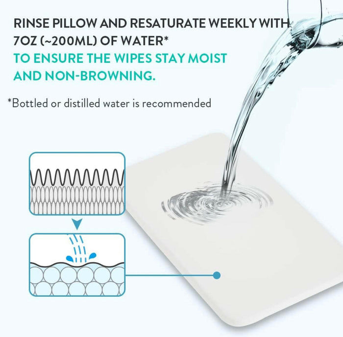 Ever-Fresh Replacement Pillow by Prince Lionheart, 2 Pack.