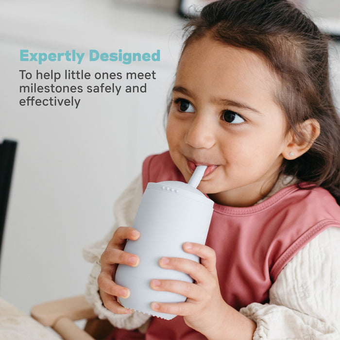 Ezpz Happy Cup & Straw System (Pewter)
