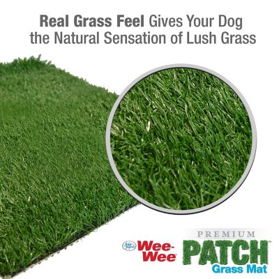 Four Paws Wee-Wee Dog Grass Replacement Patch, Medium