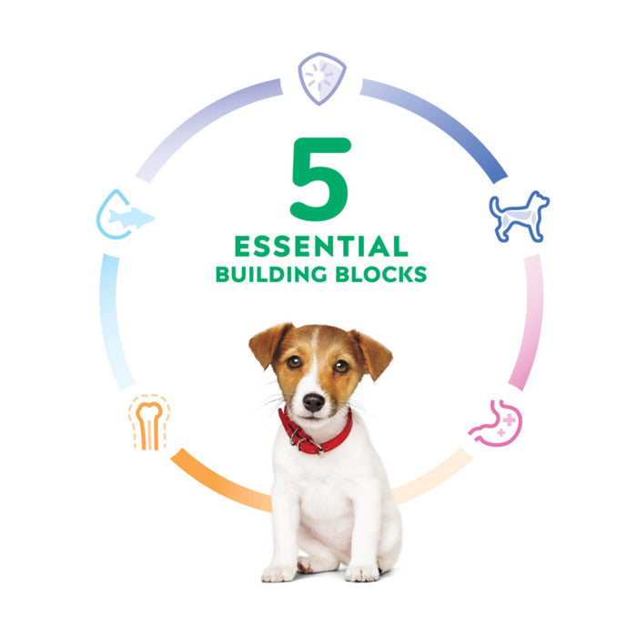 Hill's Science Diet Puppy Small Bites Chicken Meal & Barley Recipe Dry Dog Food