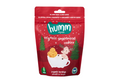 Humm Organic Vegan Gingerbread Cookies (55g)