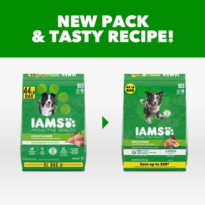 Iams ProActive Health MiniChunks Adult Chicken and Whole Grain Recipe Dry Dog Food