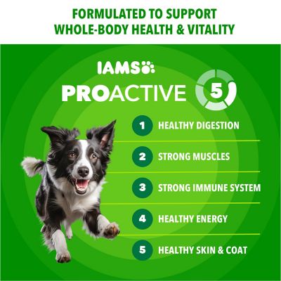 Iams ProActive Health MiniChunks Adult Chicken and Whole Grain Recipe Dry Dog Food