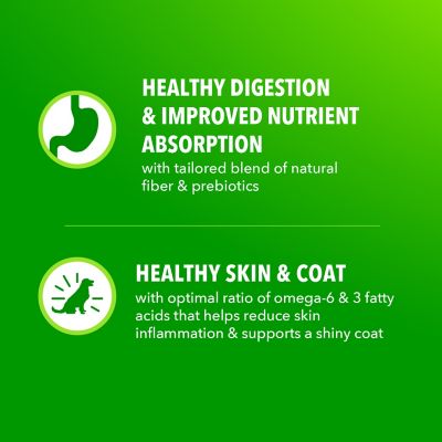 Iams ProActive Health MiniChunks Adult Chicken and Whole Grain Recipe Dry Dog Food