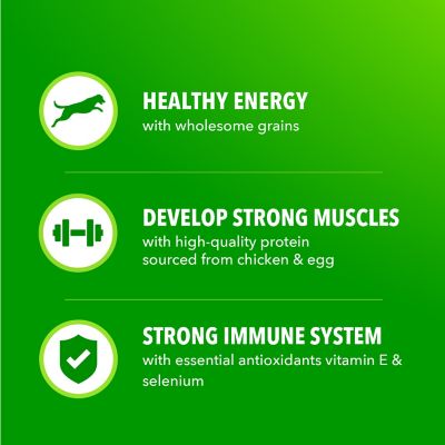 Iams ProActive Health MiniChunks Adult Chicken and Whole Grain Recipe Dry Dog Food
