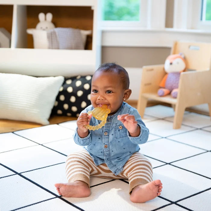 Ingenuity Cool Bite Water Teether