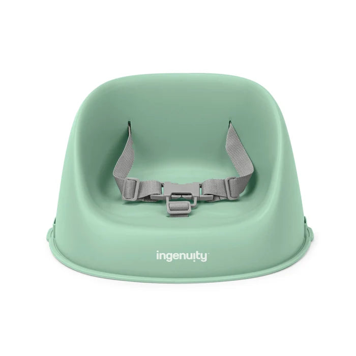 Ingenuity My Spot Booster Seat