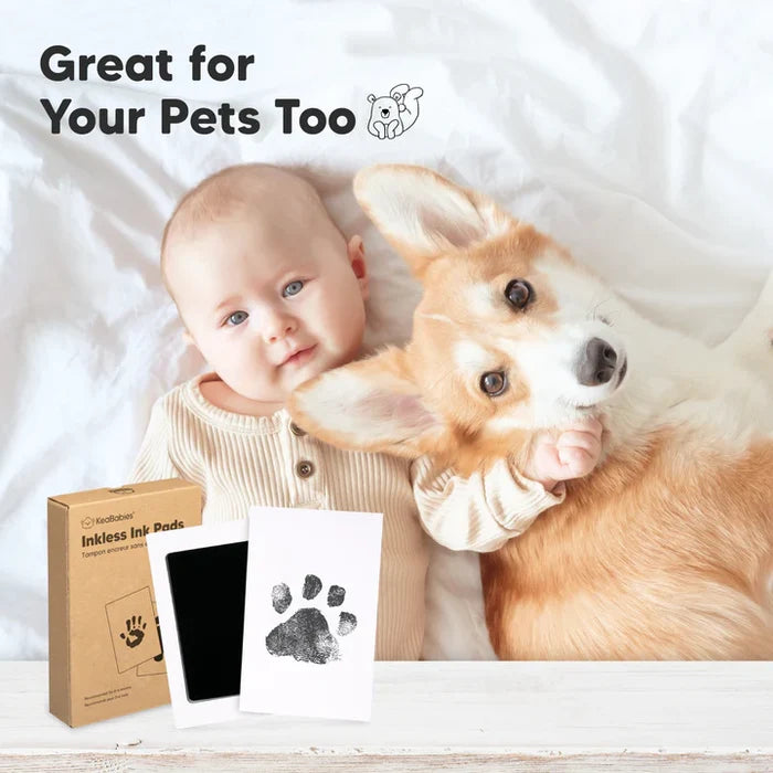 2-pack Inkless Ink Pads.