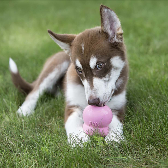 KONG Easy Treat® Puppy 8 oz Dog Treat
