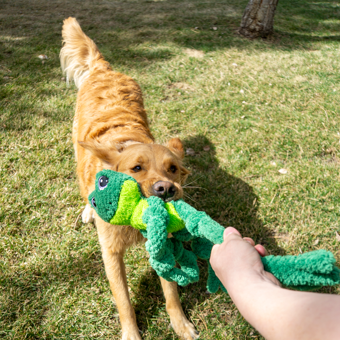 KONG Knots Frog Large/Extra Large Dog Toy