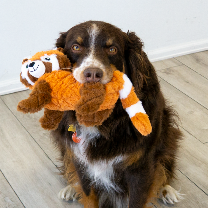 KONG Scampers Red Panda Medium Dog Toy