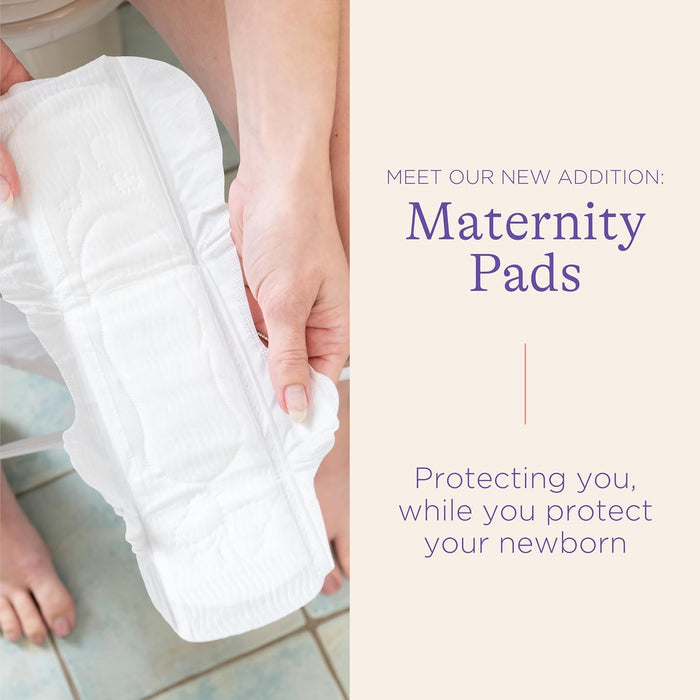 Lansinoh Maternity Pads Bundle - 40pcs