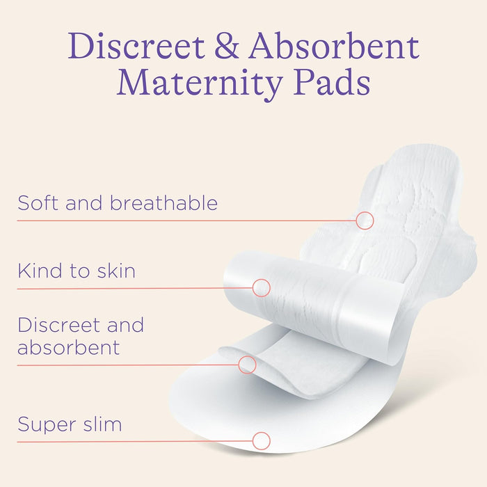 Lansinoh Maternity Pads Bundle - 40pcs