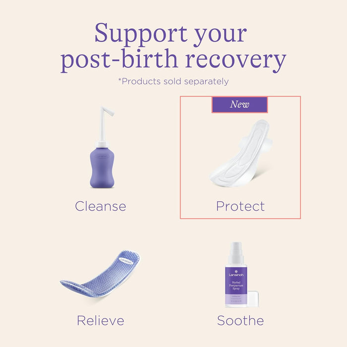 Lansinoh Maternity Pads Bundle - 40pcs