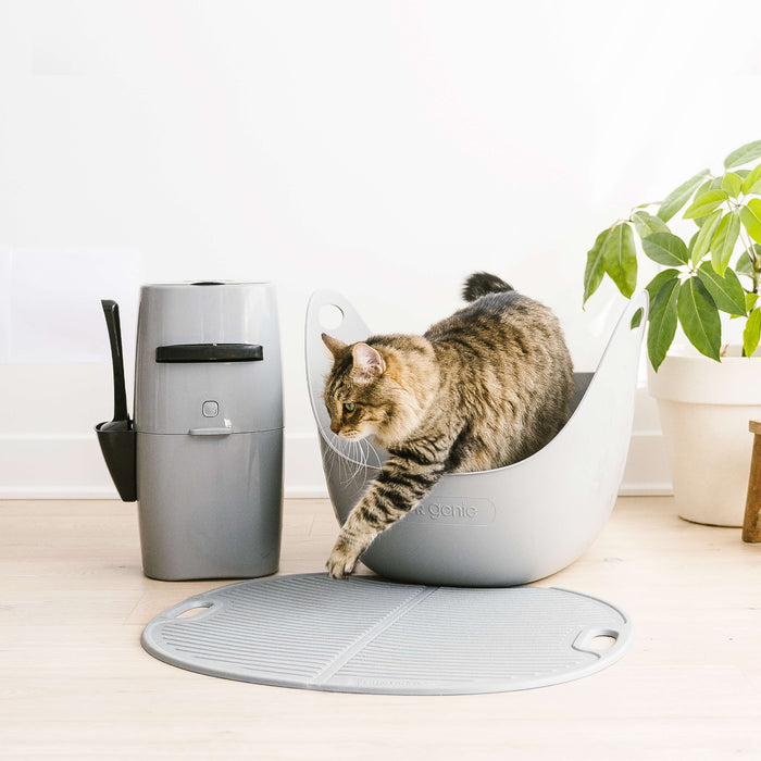Litter Genie Plus Pail, Silver