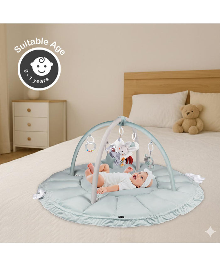 Little Story Baby 5 In 1 Play Mat/Activity Gym