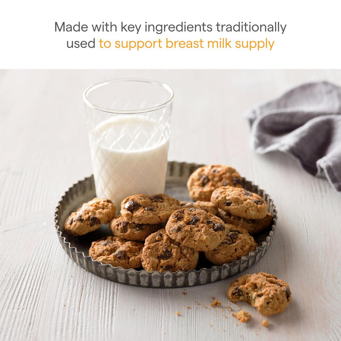 Munchkin Milk Makers Lactation Cookie Bites, Oatmeal Chocolate Chip (10 Count).