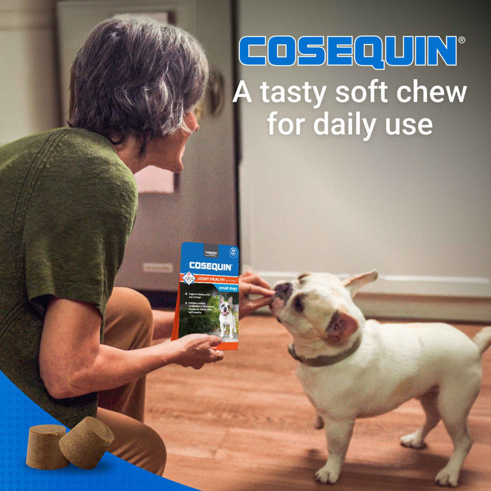 Nutramax Cosequin Minis Joint Health Supplement for Small Dogs, 45 Soft Chews