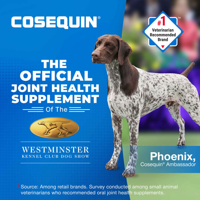 Nutramax Cosequin Minis Joint Health Supplement for Small Dogs, 45 Soft Chews