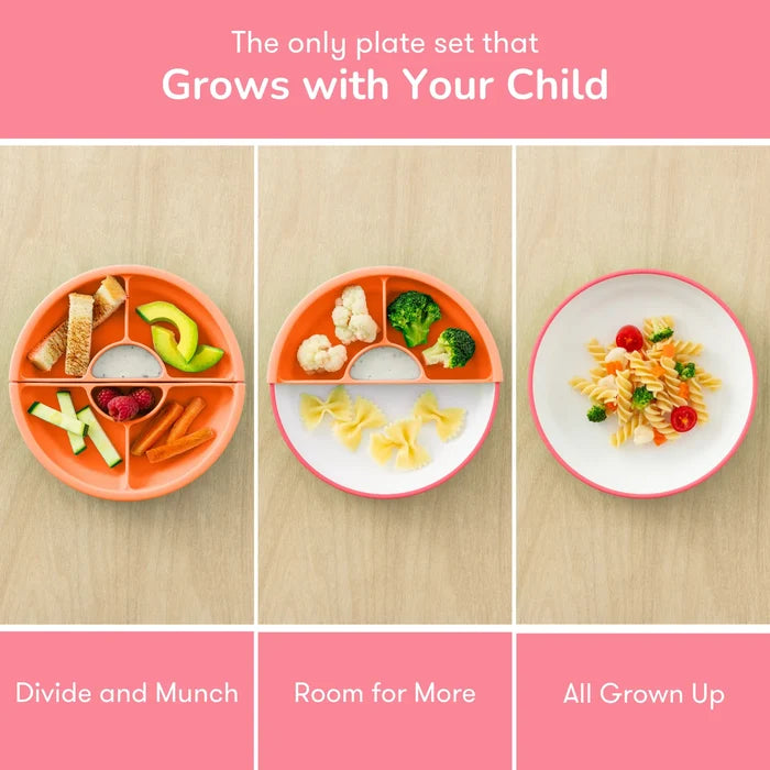 Omielife Omie Easy Scoop Plate Set (19cm)