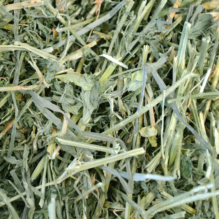Oxbow Animal Health Alfalfa Hay 15oz