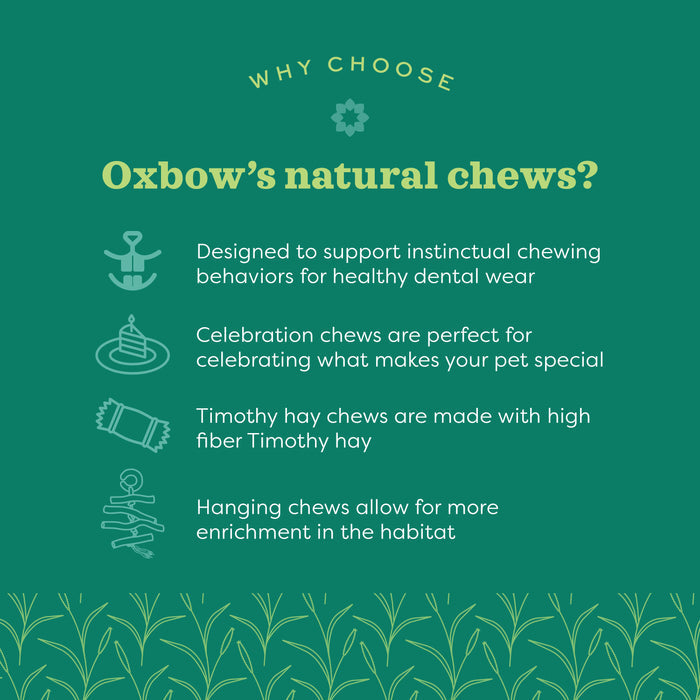 Oxbow Animal Health Enriched Life Celebration Cake