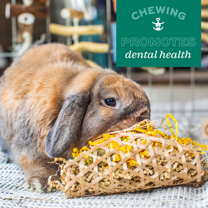 Oxbow Animal Health Enriched Life Timothy Waffle